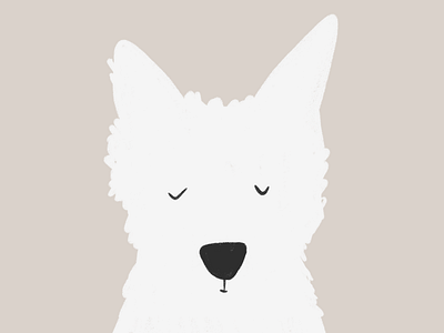Fluff animals design dog dogs illustration procreate puppy