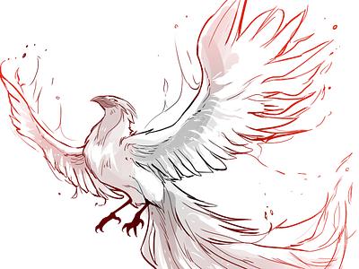 Phoenix Design concept art concept design design digital art flat graphic art icon illustration lineart phoenix