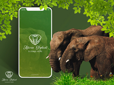 Elephant Academy Application illustration ui vector