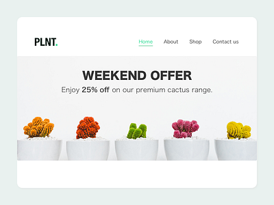 Daily UI #036 - Special Offer cactus daily 100 daily 100 challenge dailyui dailyui 036 design homepage design minimalist plant sketch special offer ui web