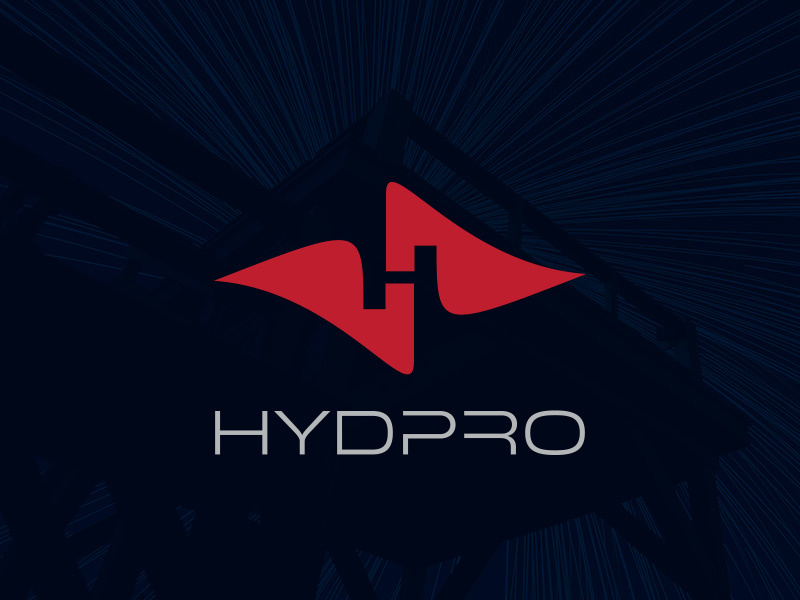 Example of Logo   Brandmark Design