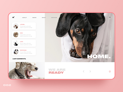 Help dogs animal daily dog dog house home landing design landing page message ui ux design ui ux