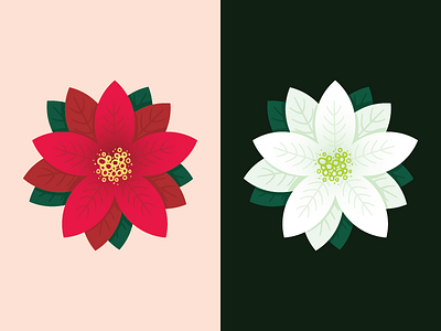 tis the season christmas illustration poinsettia vector