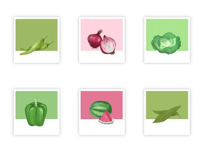 Vegetable illustrations illustration visual design