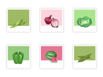 Vegetable illustrations illustration visual design