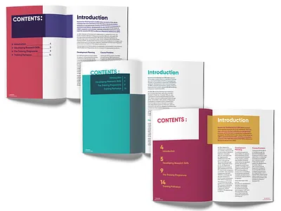 Layout Concepts book brand style concepts contents introduction layout magazine mockup open options page proposals template