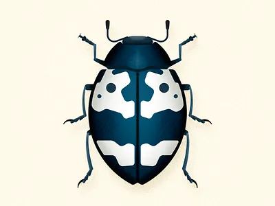 Barytopus beetle animal beetle biodiversity bug coleoptera illustration insect vector wild animal