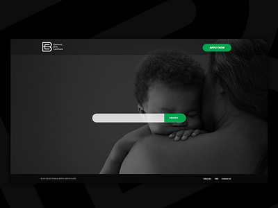 EBC- Electronic Birth Certificate Landing page design interface layout ui ui design ux web web design