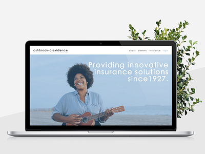 Ashbrook-Clevidence Website UI design ui web