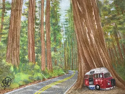 1971 Adventurewagen bus camping prismacolor redwoods road road trip sky trees volkswagen watercolor woods
