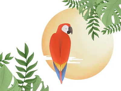 Parrot drawing green illustration parrot procreate