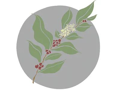 Share A Plant beans coffee coffee beans coffee plant leaf leaves plants share