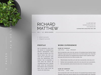 Resume/CV a4 branding business business letterhead clean corporate corporate identity cv template docx letterhead modern resume professional professional resume resume simple stationery us letter vector word word template