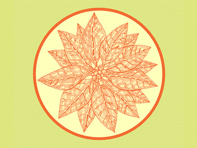 Poinsettia 120118 V2 design holidays illustration micron pen photoshop poinsettia