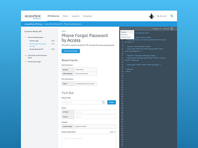 AccessPoint Api api document ui