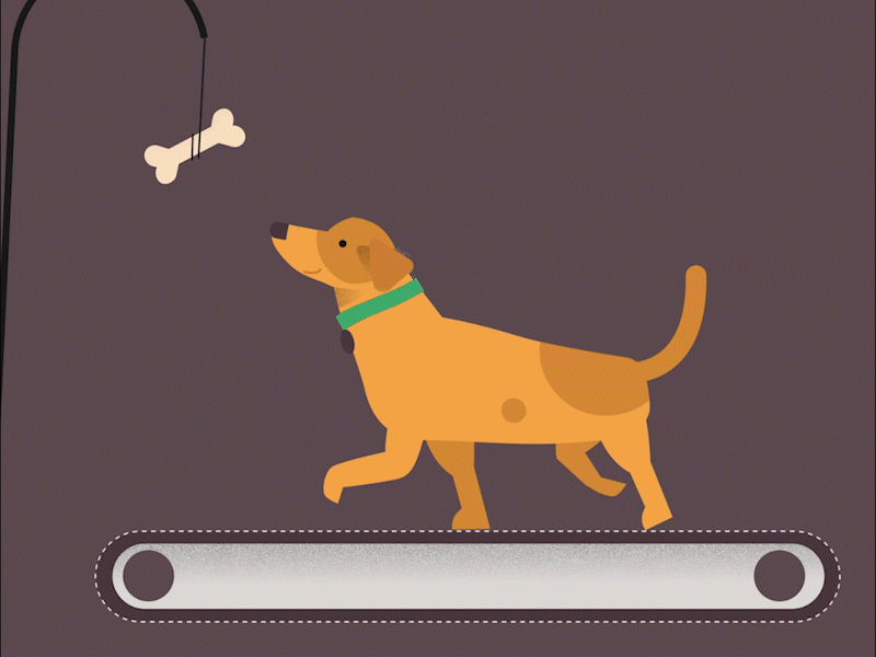 Doggy after aftereffects animation characterdesign design duik effects flatdesign illustration illustrator motiondesign