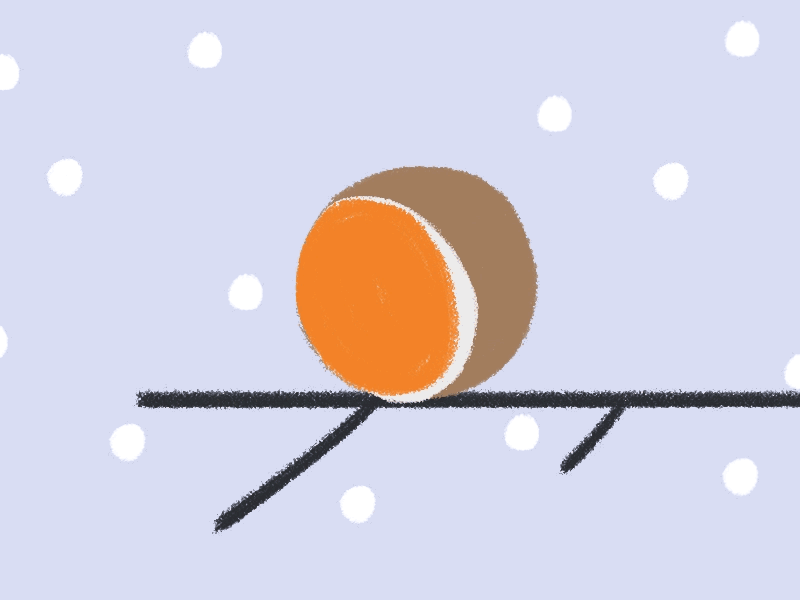 Robin animal animation bird illustration motion robin snow flakes winter