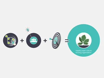 Optimising Organisational Capability consultant info graph vector