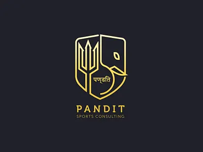 Pandit 2 brand consulting elephant logo