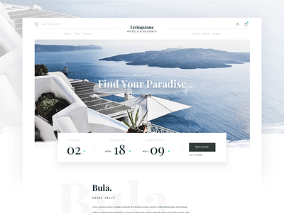 Livingstone adventure blue branding design interface modern modular typography ui ux web web design