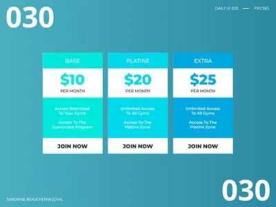 Daily UI 030 - Pricing daily ui daily ui 030 design illustration ui vector
