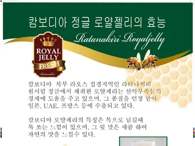 Artwork No design illustration logo typography vector