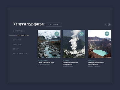 Travel Agency Services design ui web