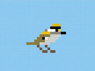 Regulus - the pixel bird bird illustration nature pixelart pixels