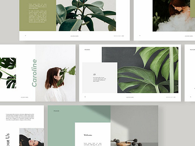 POHON Keynote Template bundle business clean creative design fashion freebies keynote keynote template logo lookbook minimal modern multipurpose photography portfolio presentation promotion simple template