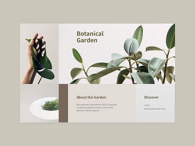 Botanical Garden botanical garden nudecolor ui ux webdesign website