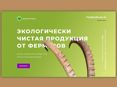 Farm products design illustration site ui web design