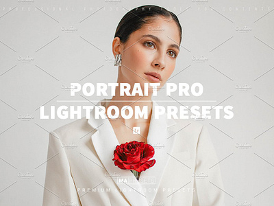 10 PORTRAIT PRO Lightroom Presets