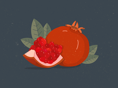 POMEGRANATE art brush drawing design digital painting illustration pomegranate texture vector