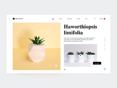 Succulent Plants-2 color ps，sketch ui web