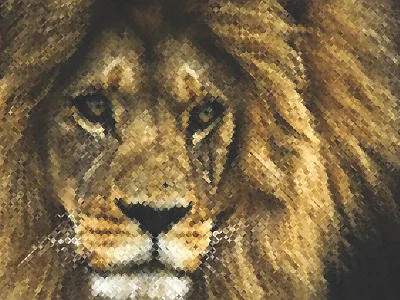 The Bubble King circle illustration illustrator lion path to shape photoshop