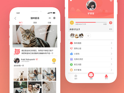 Pet app app design illustration pet app ui