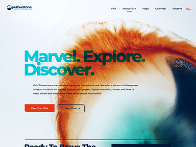 Yellowstone - Landing branding design identity typography ui website