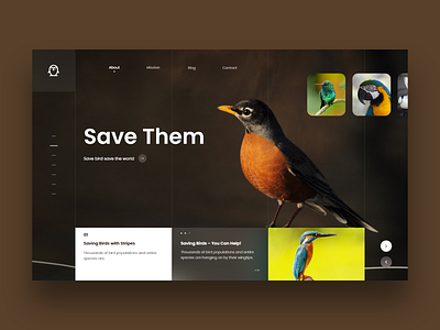 Save Bird landing page design 2018 bird design design art dribbble inspiration landing page landing page concept uidesign ux animation ux design web website