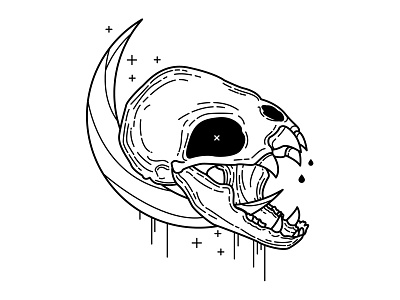 Bat. bat blackwork design halloween illustration linework skull spooky tattoo vampire bat