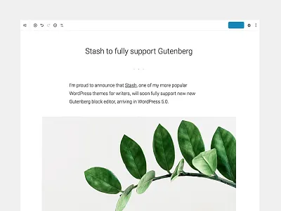 Stash blog clean compatible editor gutenberg minimal stash support theme themebeans wordpress
