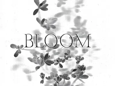 bloom rough