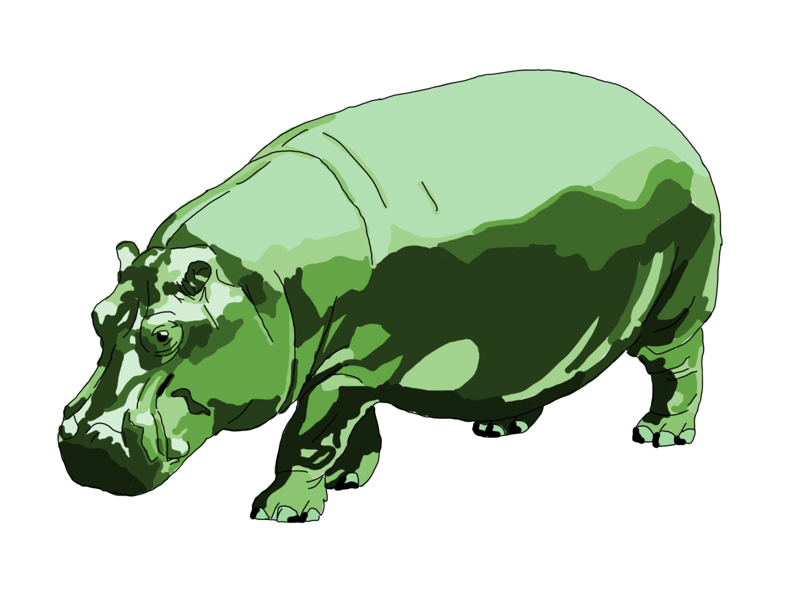 Hippo animal animal art design hippo hippocampus hippopotamus illustration logo rainforest sketch