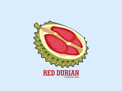 "RED DURIAN" #10 design durian durianlove flat fruit fruitvector graphic design illustration vector