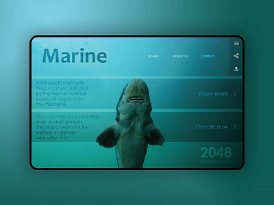 Marine project Web design ui webdesign ux interface