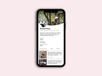 Daily UI #006 User Profile app dailyui dailyui 006 mobile panda ui user profile