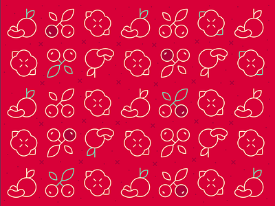 Cranberry season cranberries cranberry icon festive food icons fruit icons icon pattern line icons minimal persimmon icon red tangerine icon winter season