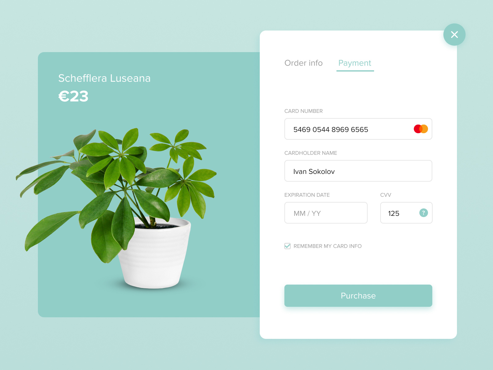 Example of Credit card checkout