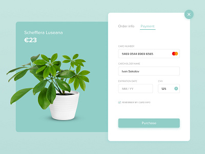 Credit card checkout checkout clean credit card credit card checkout daily daily challange daily ui figma mint pastel payment plant purchase