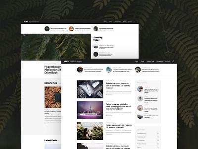 Nest WordPress Theme blog minimal responsive theme wordpress wordpress theme