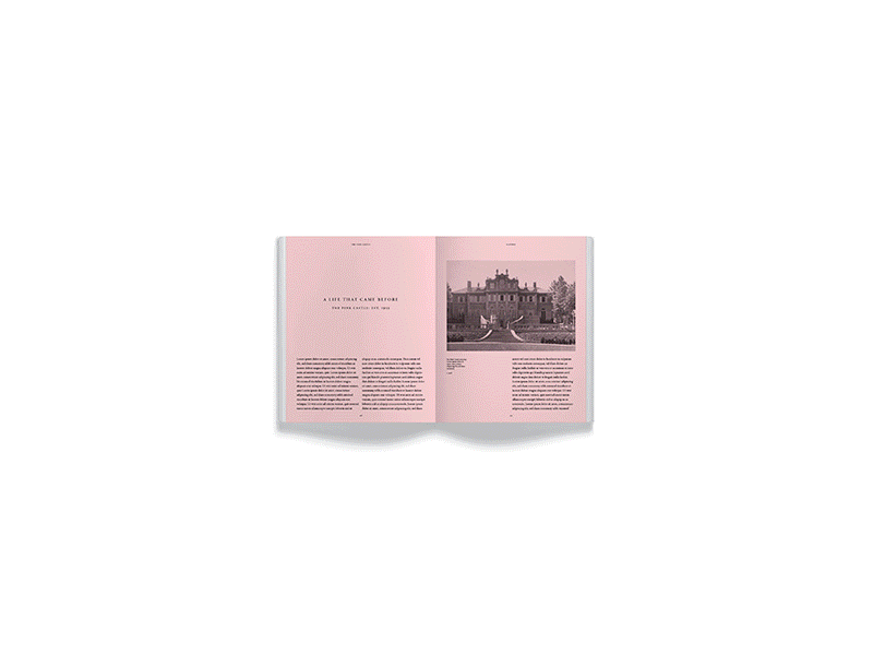 TPC Studies atlanta atlanta artist book book art layout pink studies typography